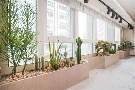 辦公室植物擺放位置 大門框